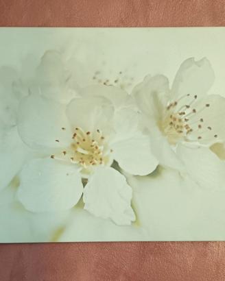 Quadro grande fiori Ikea