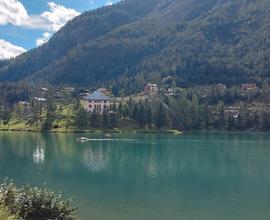 Appartamento a 2,5 Km da ALLEGHE