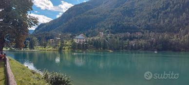 Appartamento a 2,5 Km da ALLEGHE