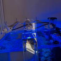  Ponte per 3 barre easyled da 438 mm,