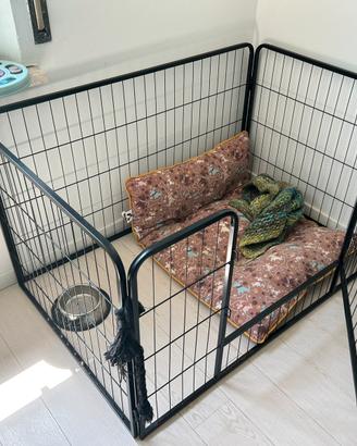 Kennel recinto cani