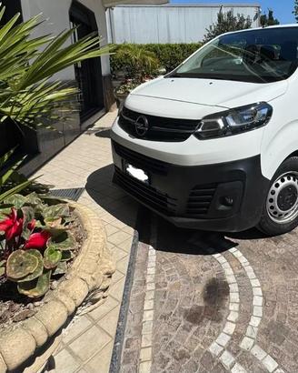 OPEL Vivaro 9 posti 2.0 td pulmino