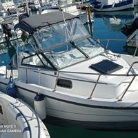 Bayliner trophy 20.02 semicabinato