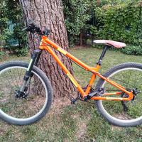 Bici Alpine 26"