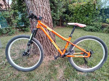 Bici Alpine 26"
