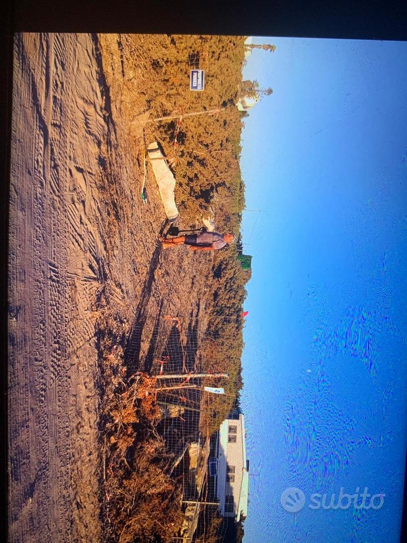 Terreno 6000 mq fronte mare - Vista 2
