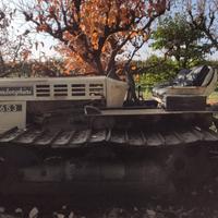 Trattore cingolato Lamborghini 653
