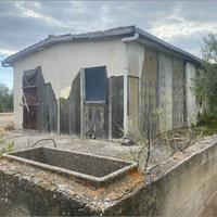 Bertolino: 65 mq da ristrutturare oltre terreno 51