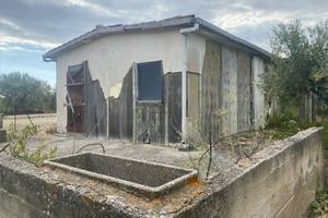 Bertolino: 65 mq da ristrutturare oltre terreno 51