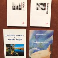 Blocco di 10 romanzi - libri nuovi