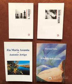 Blocco di 10 romanzi - libri nuovi