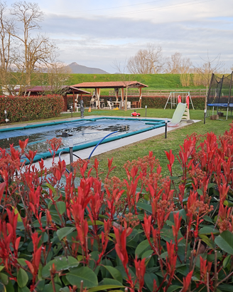 Giardino con piscina per feste