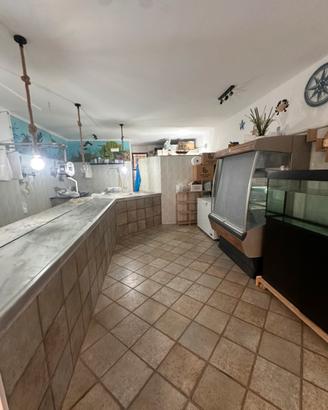 Attivita pescheria Castellana Grotte