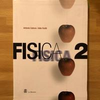 FISICA 2 CAFORIO FERILLI