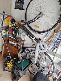 vendessi bivi come NUOVA UOMO.O DONNA