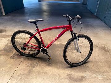 Bici da uomo
