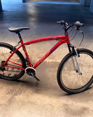 Bici da uomo