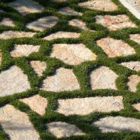 Pavimento - Giganti in pietra di Apricena