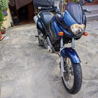 Moto Suzuki XF 650 Freewind