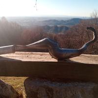 marmitta spit Fire per fifty top motore g30