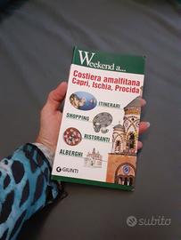 guida costiera Amalfitana,  capri,ischia, procida