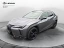 lexus-ux-lexus-250-hybrid-4wd-midnight