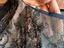 Immagine 3