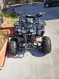 Quad Atv 110