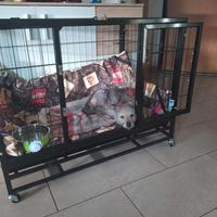 Kennel per animali