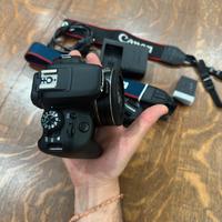 Canon 100d + 24mm 2.8