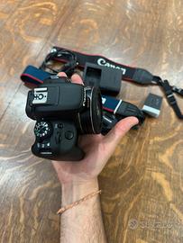 Canon 100d + 24mm 2.8