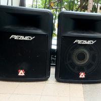 coopia casse amplificate peavey da riparare