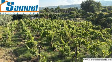 Piedimonte Etneo, terreno di 1000mq