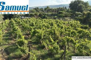 Piedimonte Etneo, terreno di 1000mq