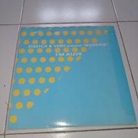 Vinile LP Stretch e Vern Maddog I Am A Live 