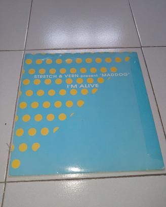 Vinile LP Stretch e Vern Maddog I Am A Live 
