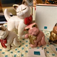 Gatti con fiocco rosso Thun