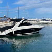 Barca americana (rara) chaparral 275 ssi