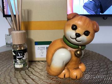 gatto Scottish Fold Thun 2019-2020