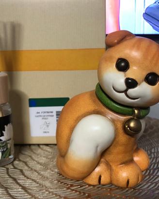gatto Scottish Fold Thun 2019-2020