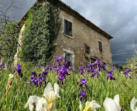 CASA DI CORTE A VEROLI