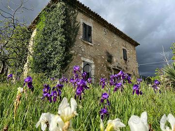 CASA DI CORTE A VEROLI