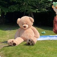 orso peluches / pupazzo 3m