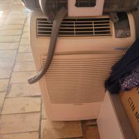 pinguino portatile aria condizionata 