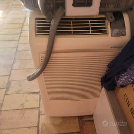 pinguino portatile aria condizionata 