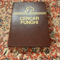 Cercar Funghi