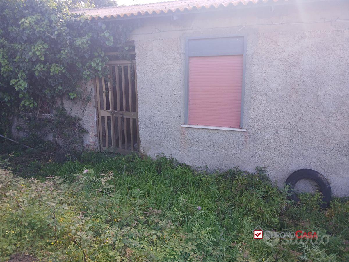 Piano Torre, ampio terreno e fabbricato - Vista 5