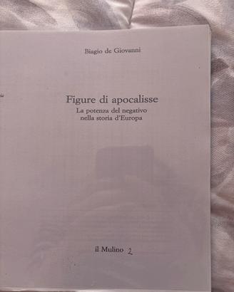 Figure di apocalisse