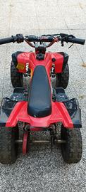mini quad