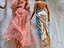 Immagine 6